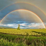 Two rainbows are shown above some green fields