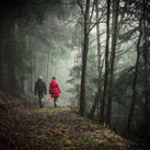 Two people walking a dense forest