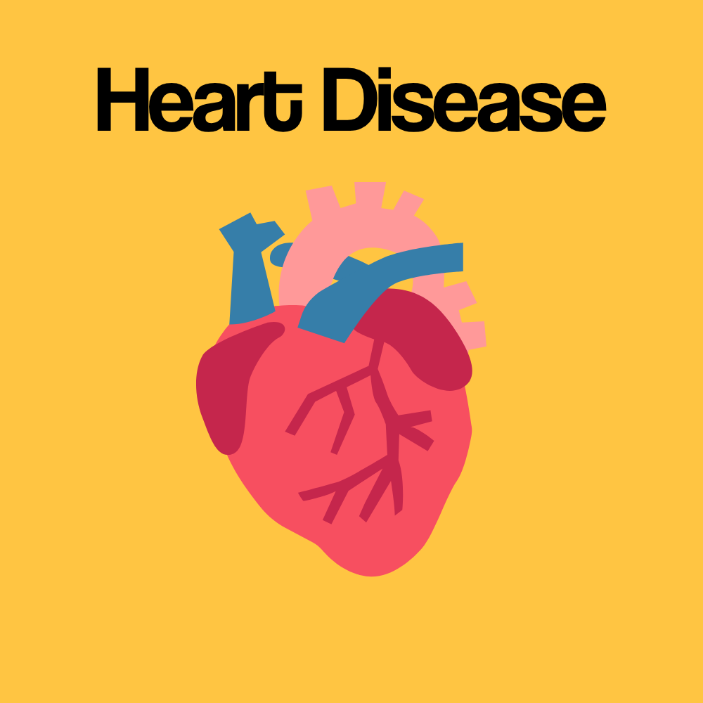Guide by Condition: Coronary Heart Disease (CHD)