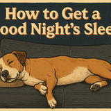 A dog, fast asleep on a sofa with the words – How to Get a Good Night's Sleep – above him