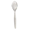 Standard Reusable Teaspoon - Silver Sparkle