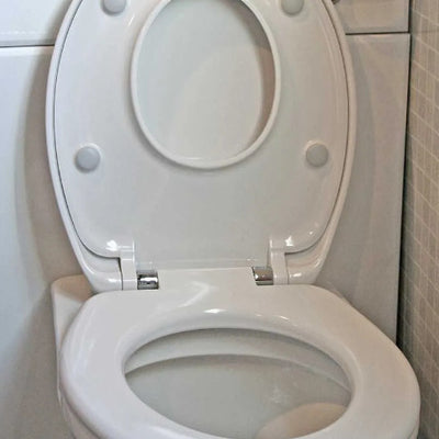 Family Dual Toilet Seat with Lid