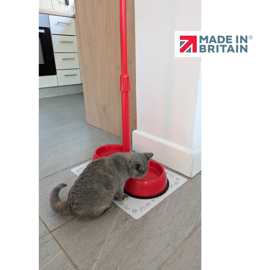 No Need to Bend Long Handled Pet Bowl - BRAND NEW!