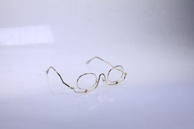 Wellys Makeup Glasses