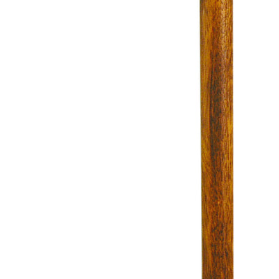 the image shows a full length photo of the classic canes soft touch fischer cane