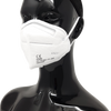 shows the KN95 Respirator Face Mask