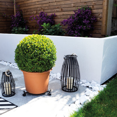 Flower Pot Mover in use, large potted plant resting on it