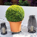Flower Pot Mover – Green Flower Design in use, large potted plant resting on it