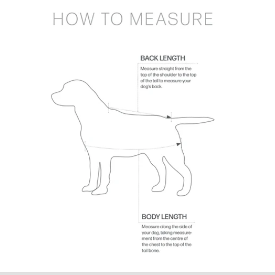 The image shows the measuring guidelines for the HyVIZ Reflector Waterproof Dog Coat