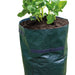Potato Grow Bag - Pack Of 2