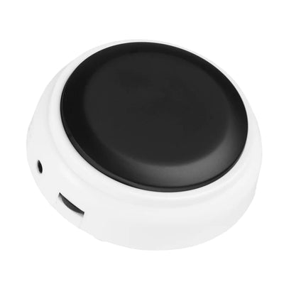 Radio Controlled Talking Button Clock