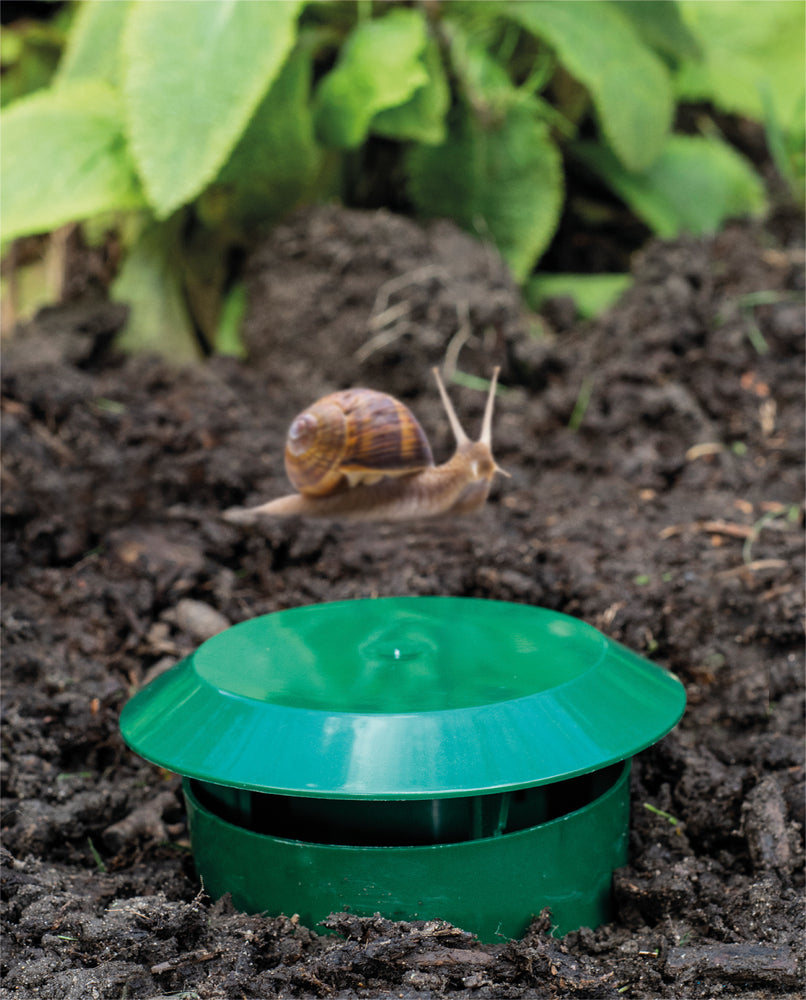 garden Aid Slug and Snail Traps Beer Traps