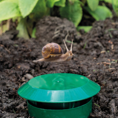 garden Aid Slug and Snail Traps Beer Traps