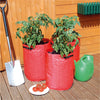 Tomato Grow Bags - Pack Of 3