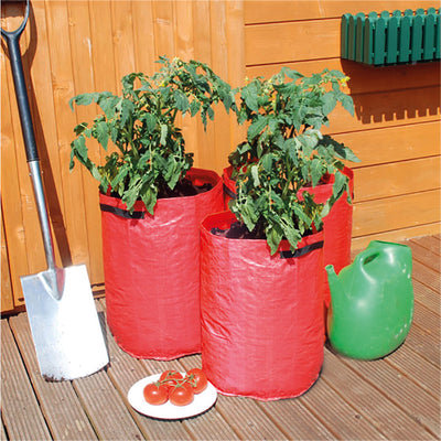 Tomato Grow Bags - Pack Of 3