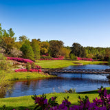 A deep blue river can be seen as it winds its way across grass surrounded by trees and flower beds