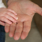 A small hand touching an hand that is much bigger and older