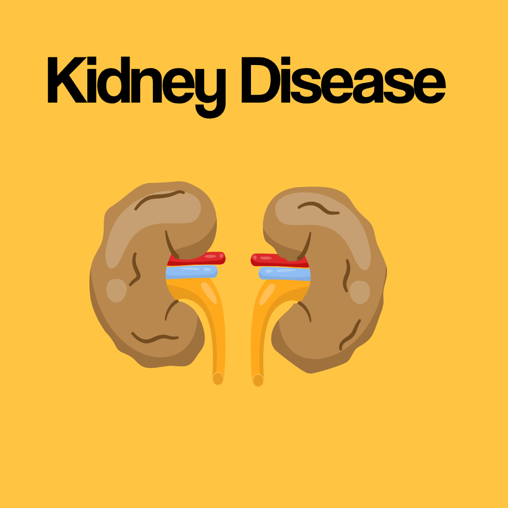 Guide by Condition: Chronic Kidney Disease (CKD)