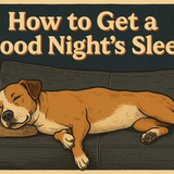 A dog, fast asleep on a sofa with the words – How to Get a Good Night's Sleep – above him