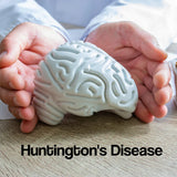 A white panel with the words – Huntington's Disease – on it