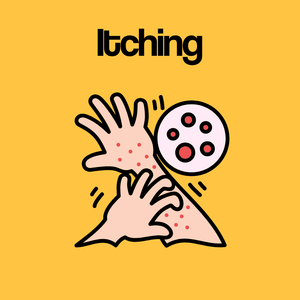 Guide by Condition: Itching