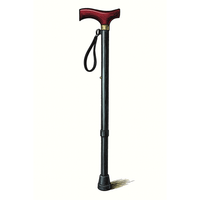Walking Sticks 