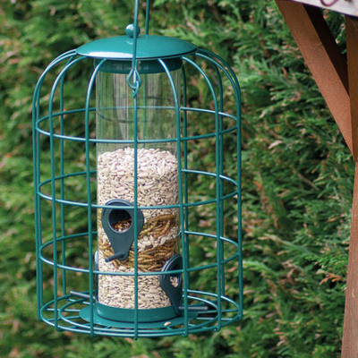 A picture of a wildlife feeder filled with bird seed