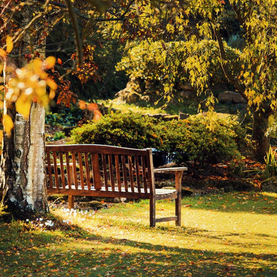Gardening & Outdoor Aids