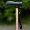 A close up of the Pink Hurrycane pictured outside