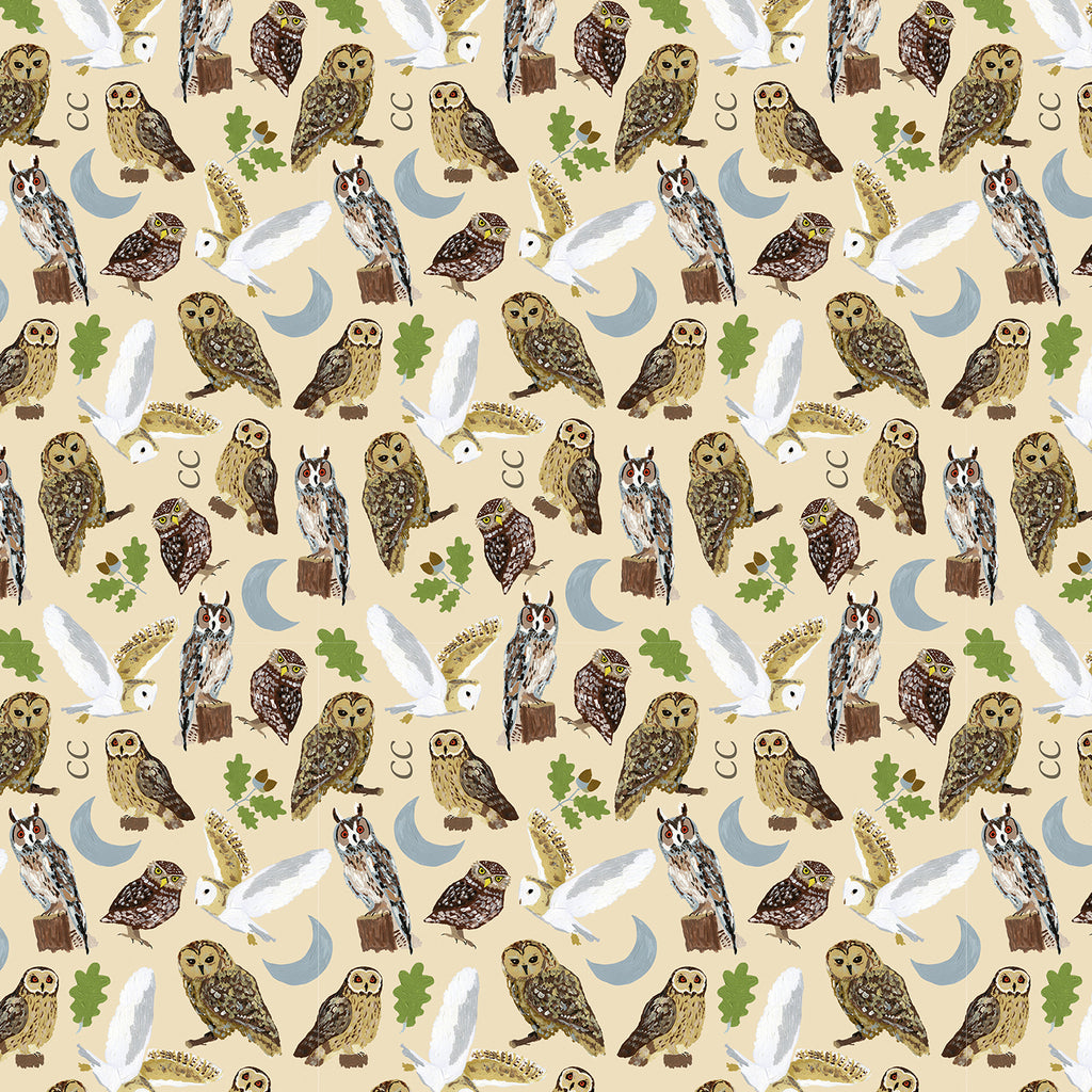 the image shows the british owls on the folding fashion classic cane
