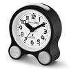 Analogue Radio Controlled Talking Clock