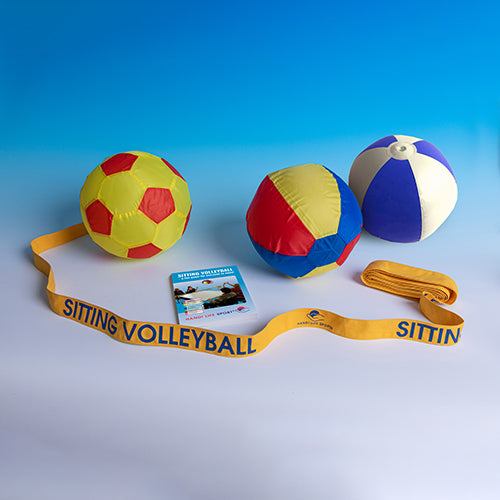 the image shows what you get in the sitting volleyball set; 3 different patterned balls, one divider, instructions and inflation device
