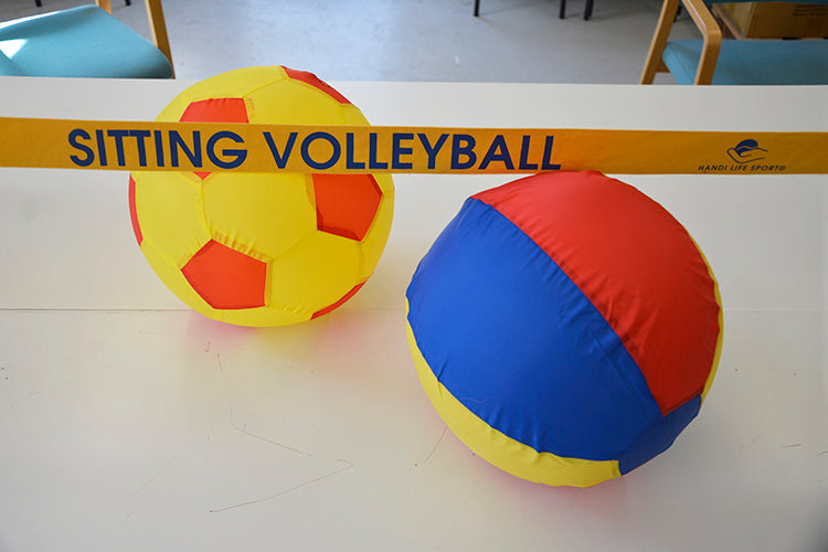 the image shows the sitting volleyball divider with two of the patterned volleyballs