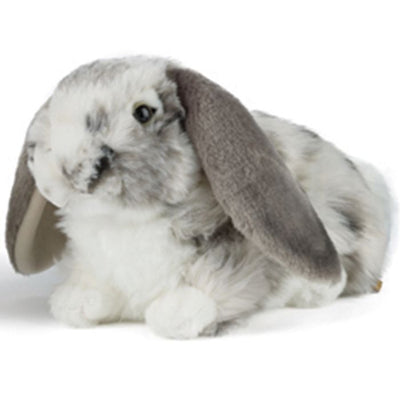 Lop Eared Rabbit