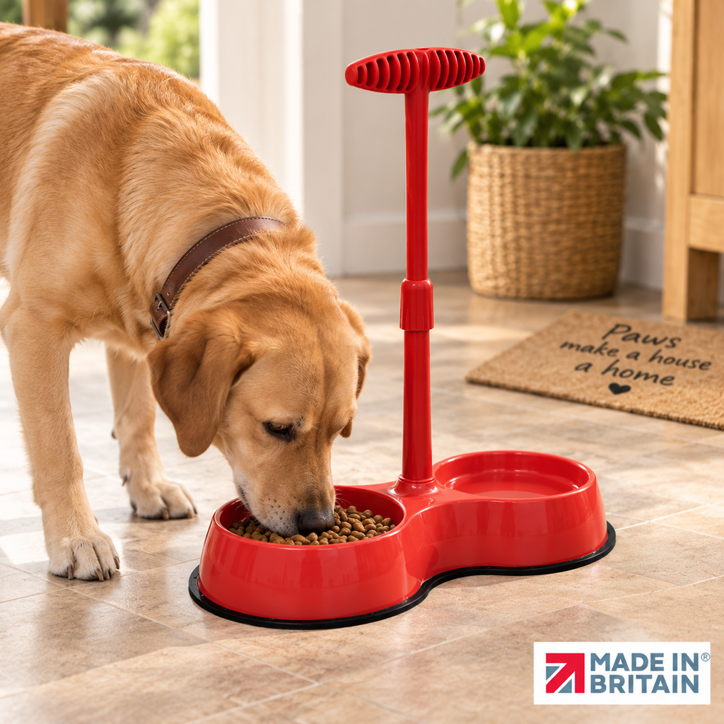 No Need to Bend Long Handled Pet Bowl - BRAND NEW!