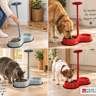 No Need to Bend Long Handled Pet Bowl - BRAND NEW!