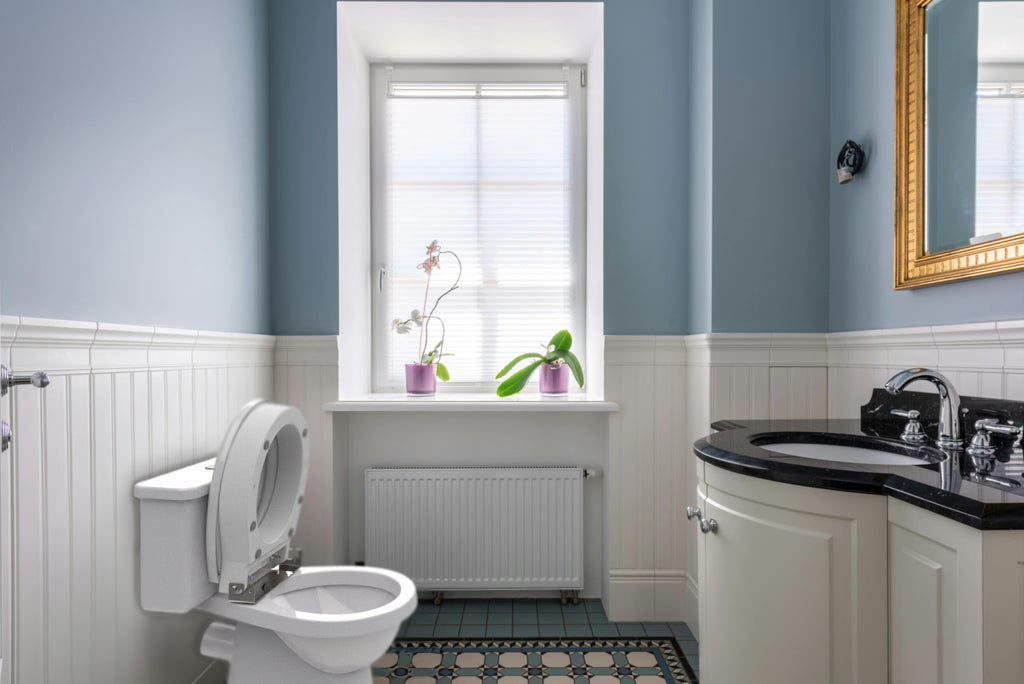 Ashby Lift Toilet Seat - Oval in bathroom