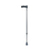 the image shows the days standard adjustable walking stick