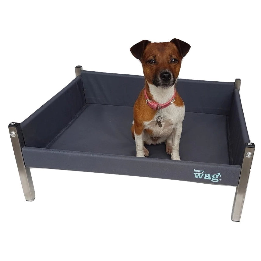 Henry Wag Elevated Dog Bed