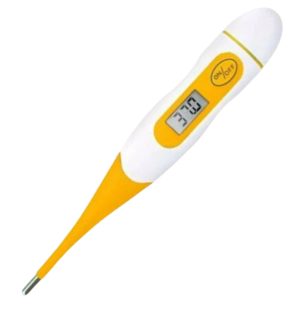 Flexible Digital Thermometer