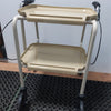 Trolley Zimmer Walker With Brakes, Ex Display