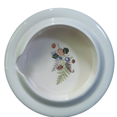 shows the secure grip half scoop plate/dish with fern pattern
