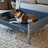 a small Jack Russel type dog lying in the Henry Wag Elevated Dog Bed in a living room