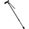 Picture of Homecraft Coloured Walking Sticks with etched black pattern