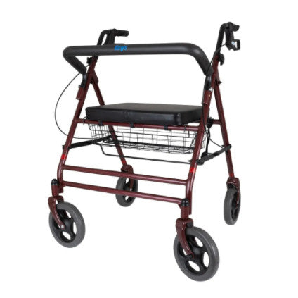 the days bariatric heavy duty rollator/walker