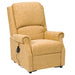 Chicago Rise & Recline Chair