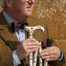 the image shows a smartly dressed man holding the classic canes folding fashion derby cane with the british owl design