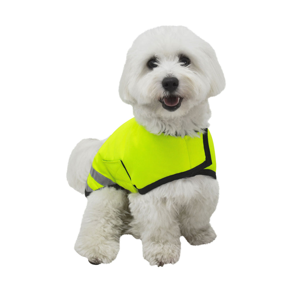 The image shows a small dog wearing the HyVIZ Reflector Waterproof Dog Coat, showing the front view of the coat