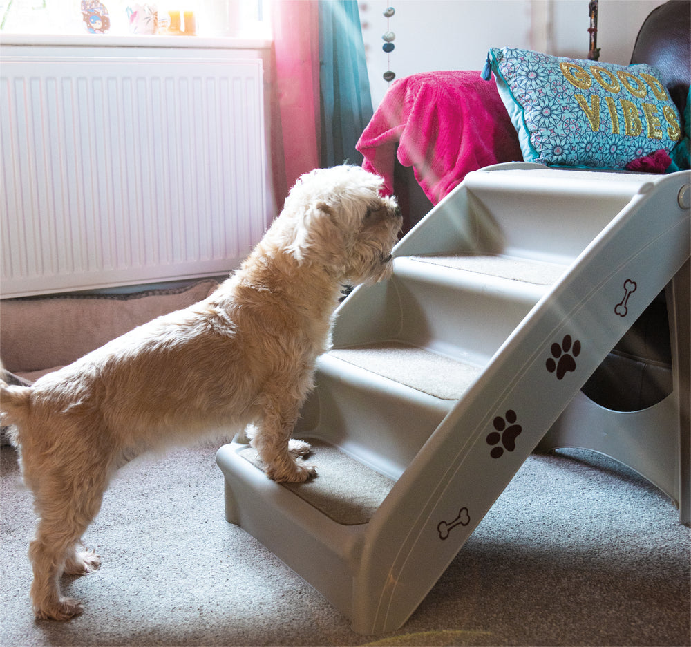 Folding Pet Steps