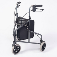 Graphite Grey Aluminium Tri Walker